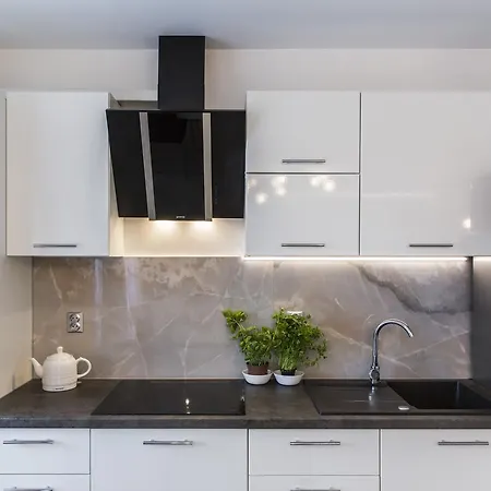 Lägenhet Udanypobyt Silver Centrum *