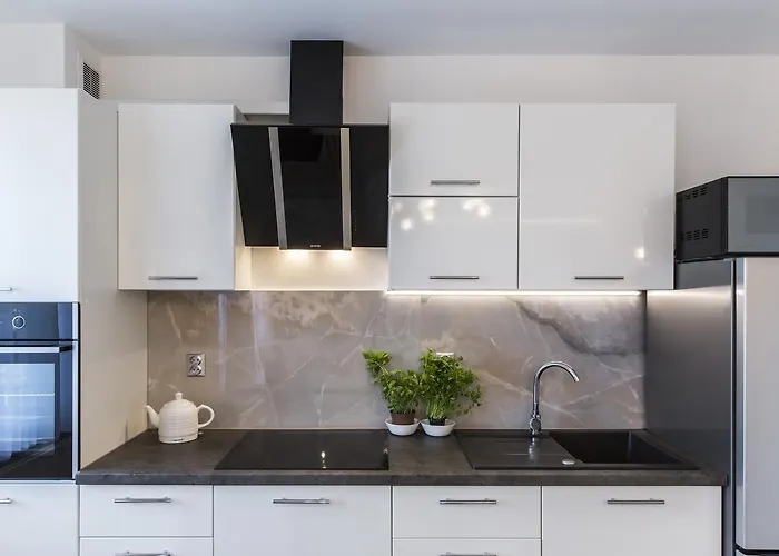 Apartment Udanypobyt Silver Centrum *