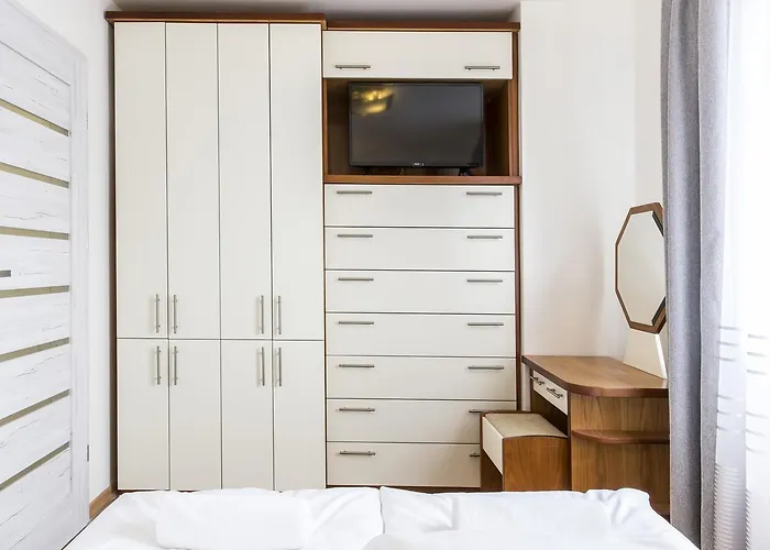 Udanypobyt Silver Centrum Apartment Zakopane